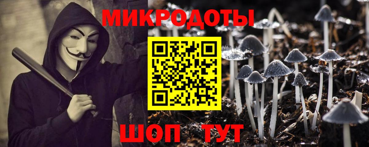 Псилоцибиновые грибы Psilocybine cubensis  Вход с VPN  Псилоцибиновые грибы мицелий  где можно купить наркотик  Выкса 